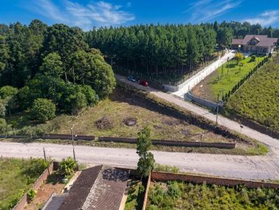 Terreno para Venda, em S�o Bento do Sul, bairro Len�ol