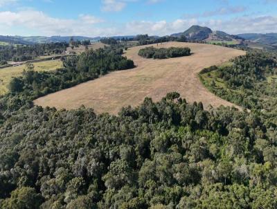 �rea Rural para Venda, em Tibagi, bairro 