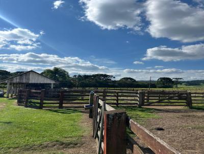 �rea Rural para Venda, em , bairro �rea Rural de Ponta Grossa