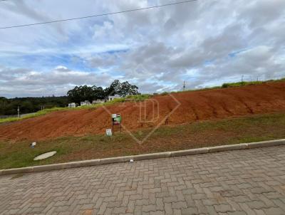 Terreno em Condom�nio para Venda, em Viam�o, bairro Coc�o