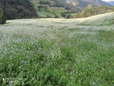 �rea Rural para Venda, em Viadutos, bairro Interior