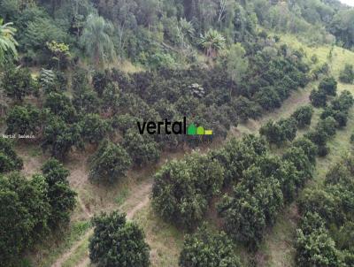 �rea Rural para Venda, em Porto Vera Cruz, bairro 