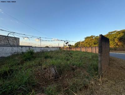 Lote para Venda, em Goi�nia, bairro Residencial Olinda