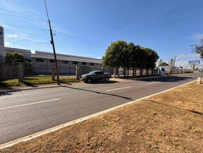 Galp�o para Loca��o, em Aparecida de Goi�nia, bairro Parque Primavera, 4 banheiros, 20 vagas