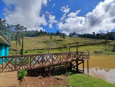Fazenda para Venda, em Pinh�o, bairro INTERIOR DO MUNIC�PIO