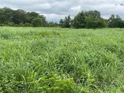 Fazenda para Venda, em Crix�s do Tocantins, bairro REGI�O DE CRIXAS-TO/ SANTA RITA-TO VALE DO AREAGUAIA