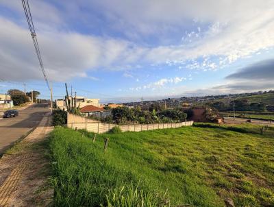 Terreno para Venda, em Ponta Grossa, bairro Olarias