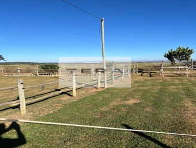 Haras para Venda, em , bairro 