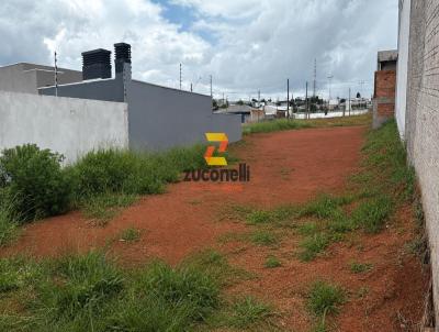 Terreno para Venda, em Guarapuava, bairro Alto Santa Maria