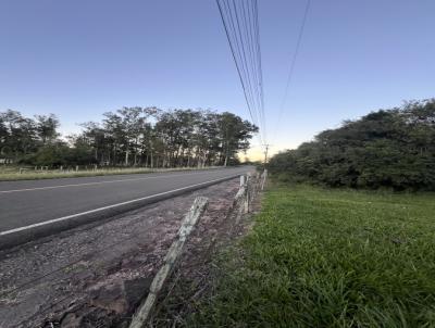 Ch�cara para Venda, em Santa Cruz do Sul, bairro Linha Nova