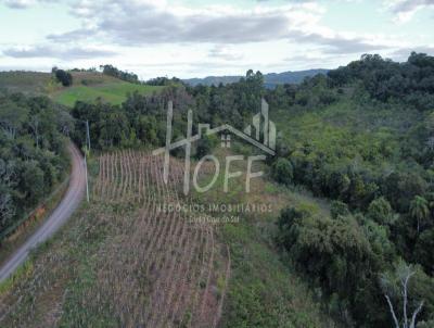 Ch�cara para Venda, em Santa Cruz do Sul, bairro Quarta Linha Nova Alta