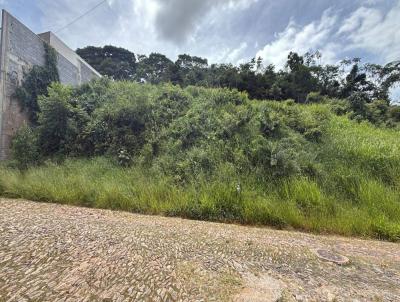 Lote para Venda, em Vi�osa, bairro Condom�nio Inconfid�ncia