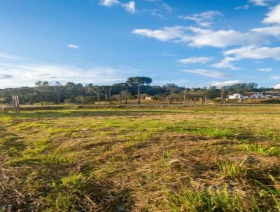Terreno para Venda, em S�o Bento do Sul, bairro Brasilia
