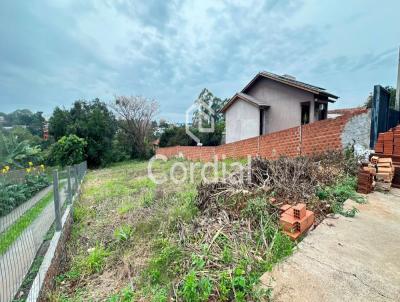 Terreno para Venda, em Santa Rosa, bairro Sulina