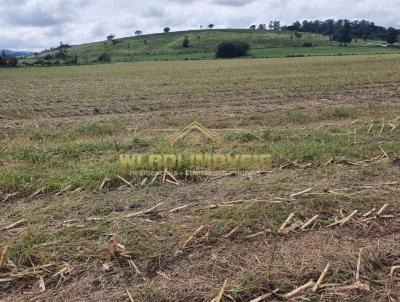 Fazenda para Venda, em Pouso Alegre, bairro 6 km da Rodovia Fern�o Dias
