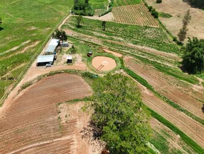 S�tio para Venda, em Presidente Bernardes, bairro 8 alqueires
