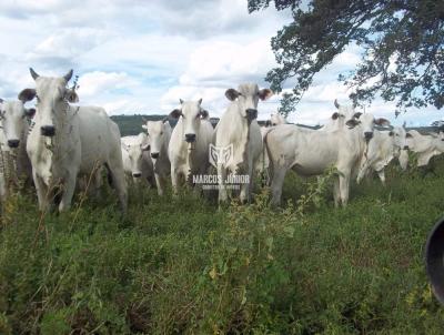 Fazenda para Venda, em , bairro 