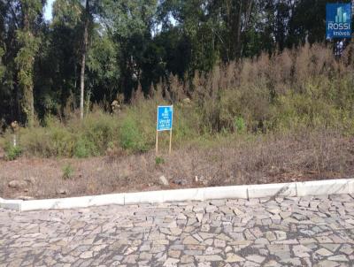 Terreno Residencial para Venda, em Erechim, bairro Esperan�a