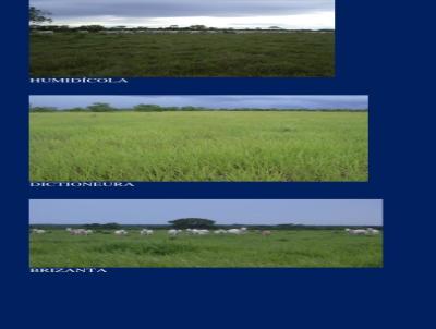 Fazenda para Venda, em S�o F�lix do Araguaia, bairro INTERIOR DO MUNIC�PIO