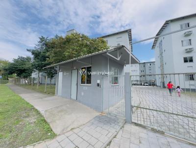 Apartamento para Loca��o, em Blumenau, bairro Ponta Aguda, 2 dormit�rios, 1 vaga
