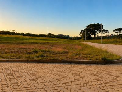 Terreno para Venda, em Lages, bairro Petr�polis