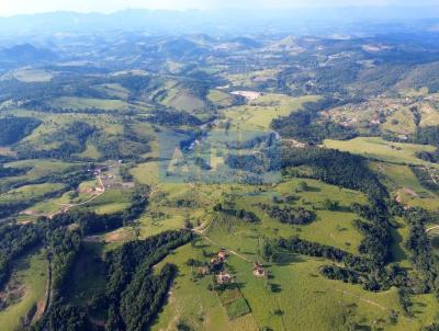 Fazenda para Venda, em Bonfim, bairro Fazenda Cruzeiro do Sul