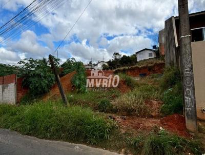 Terreno para Venda, em Tel�maco Borba, bairro �rea 6