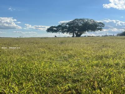 Fazenda para Venda, em Santo Anast�cio, bairro 135 alqueires