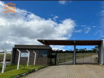 Terreno para Venda, em Juiz de Fora, bairro Torre�es