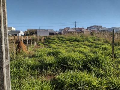 Lote para Venda, em An�polis, bairro Jardim It�lia