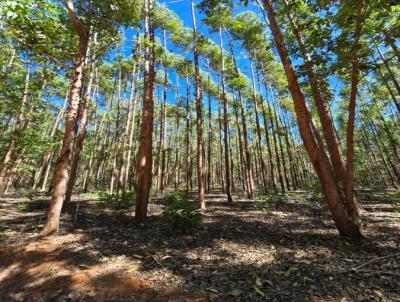 Fazenda para Venda, em Curvelo, bairro 250 km de Curvelo � MG