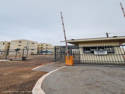 Apartamento para Venda, em V�rzea Grande, bairro Cristo rei, 2 dormit�rios, 1 banheiro, 1 vaga