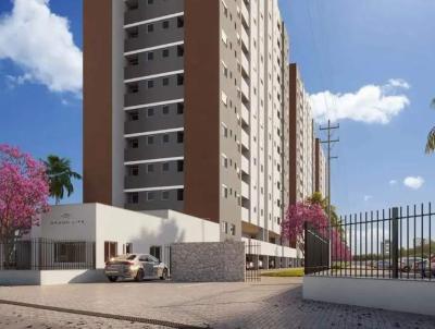 Apartamento para Venda, em Palho�a, bairro Pagani, 2 dormit�rios, 2 banheiros, 1 su�te, 1 vaga