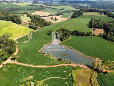 �rea Rural para Venda, em Erechim, bairro 