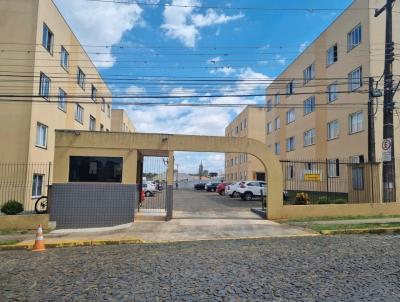 Apartamento para Venda, em Ponta Grossa, bairro Col�nia Dona Lu�za, 3 dormit�rios, 1 banheiro, 1 vaga