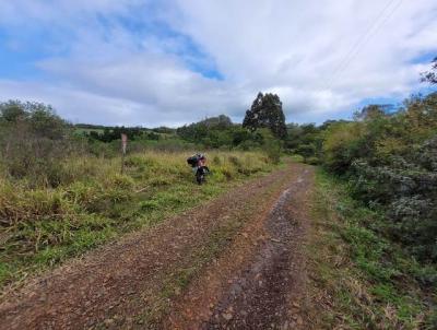 �rea Rural para Venda, em Santo Ant�nio da Patrulha, bairro Alto Ribeir�o