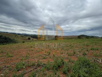 Terreno Rural para Venda, em Pouso Alegre, bairro CAJURU