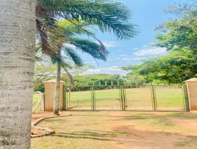 Ch�cara para Venda, em Mat�o, bairro S�o Louren�o do Turvo