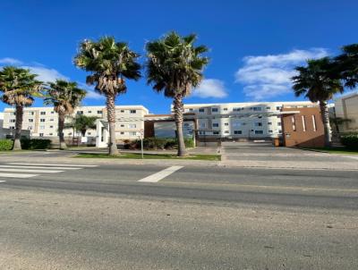 Apartamento para Venda, em Palho�a, bairro Bela Vista, 2 dormit�rios, 1 banheiro, 1 vaga