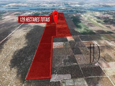Fazenda para Venda, em Petrolina, bairro Zona
