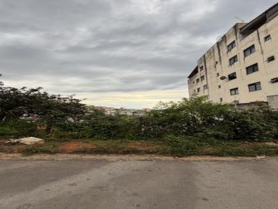 Lote para Venda, em Vi�osa, bairro SANTO ANTONIO
