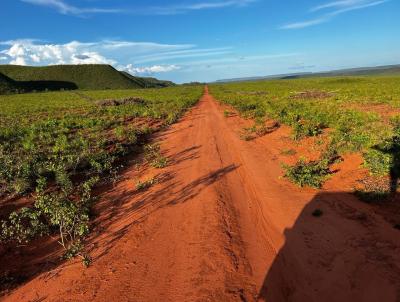 Fazenda para Venda, em Alto Parna�ba, bairro Zona Rural