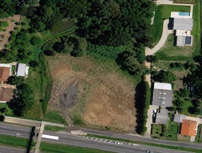 Terreno Industrial para Venda, em Campo Largo, bairro Vila Nova
