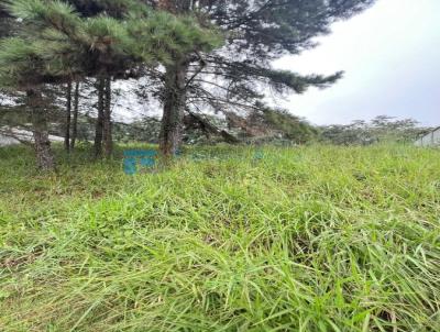Terreno em Condom�nio para Venda, em , bairro Reserva Ibirapitanga