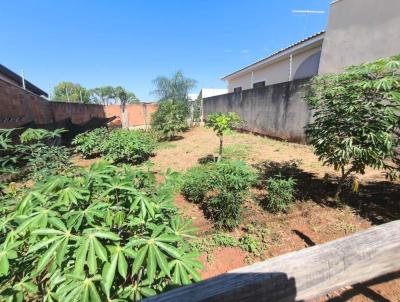 Terreno para Venda, em Presidente Prudente, bairro Mar� Mansa