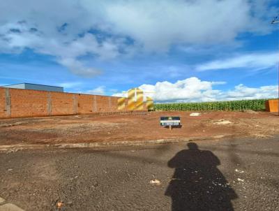 Terreno para Venda, em C�ndido Mota, bairro Bella Vita