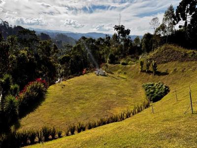 Terreno em Condom�nio para Venda, em Domingos Martins, bairro Arac�
