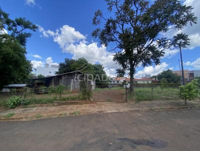 Terreno para Venda, em Tr�s Passos, bairro Centro