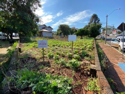 Terreno para Venda, em Tr�s Passos, bairro Centro