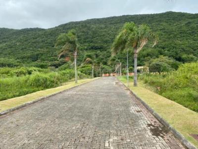 Terreno para Venda, em Florian�polis, bairro P�ntano do Sul